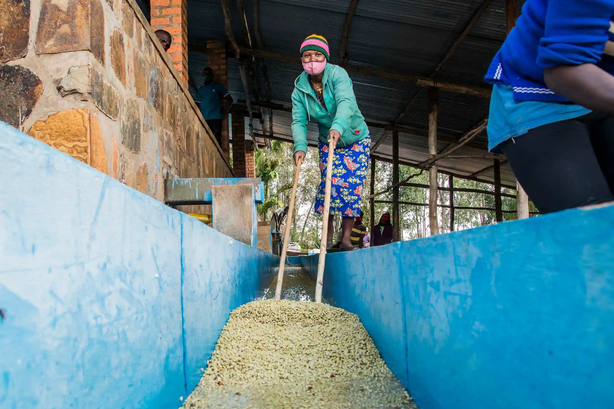 Café El Greengo Bio