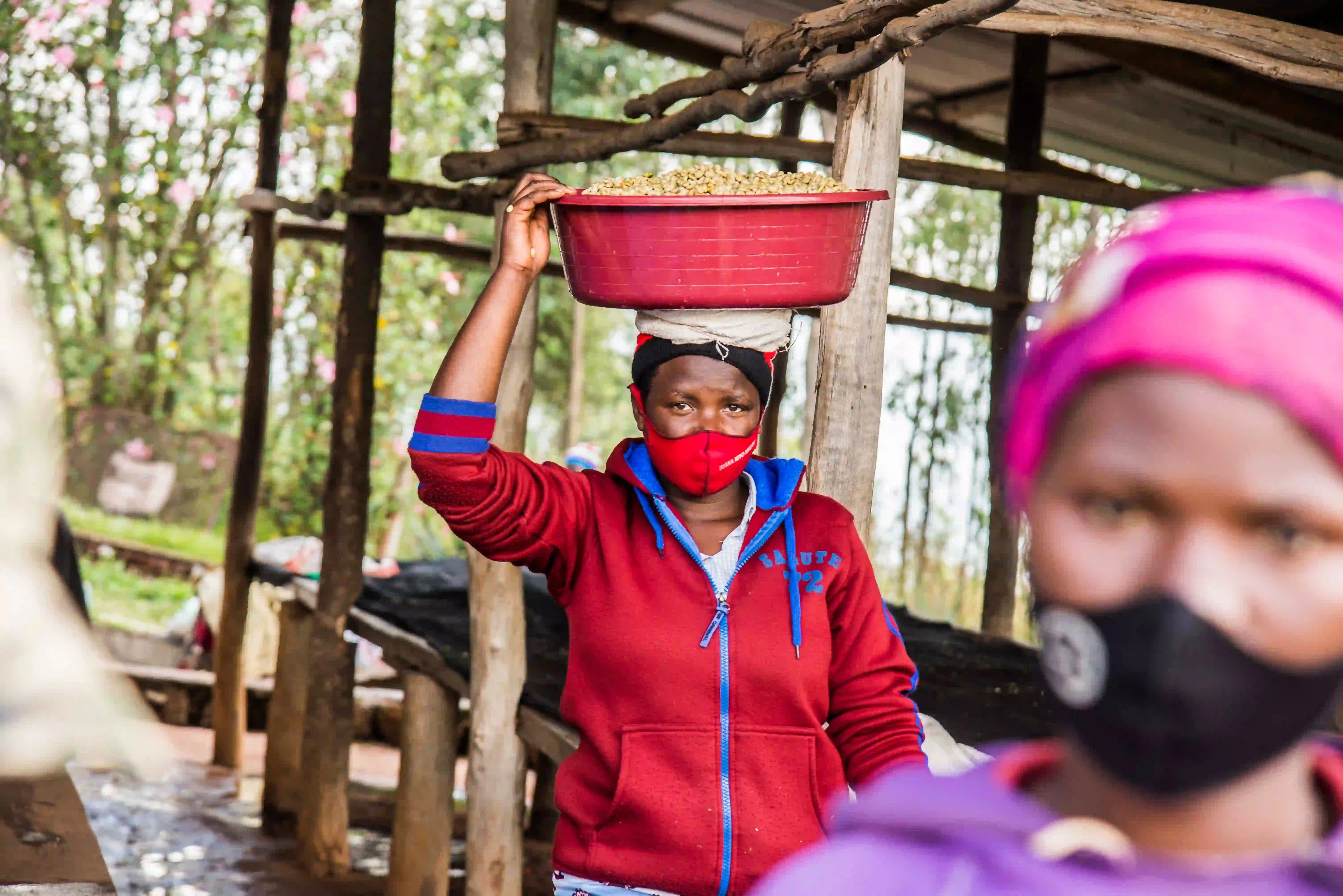 Café El Greengo Bio