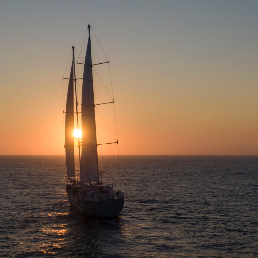 Café signature Crû des Sens