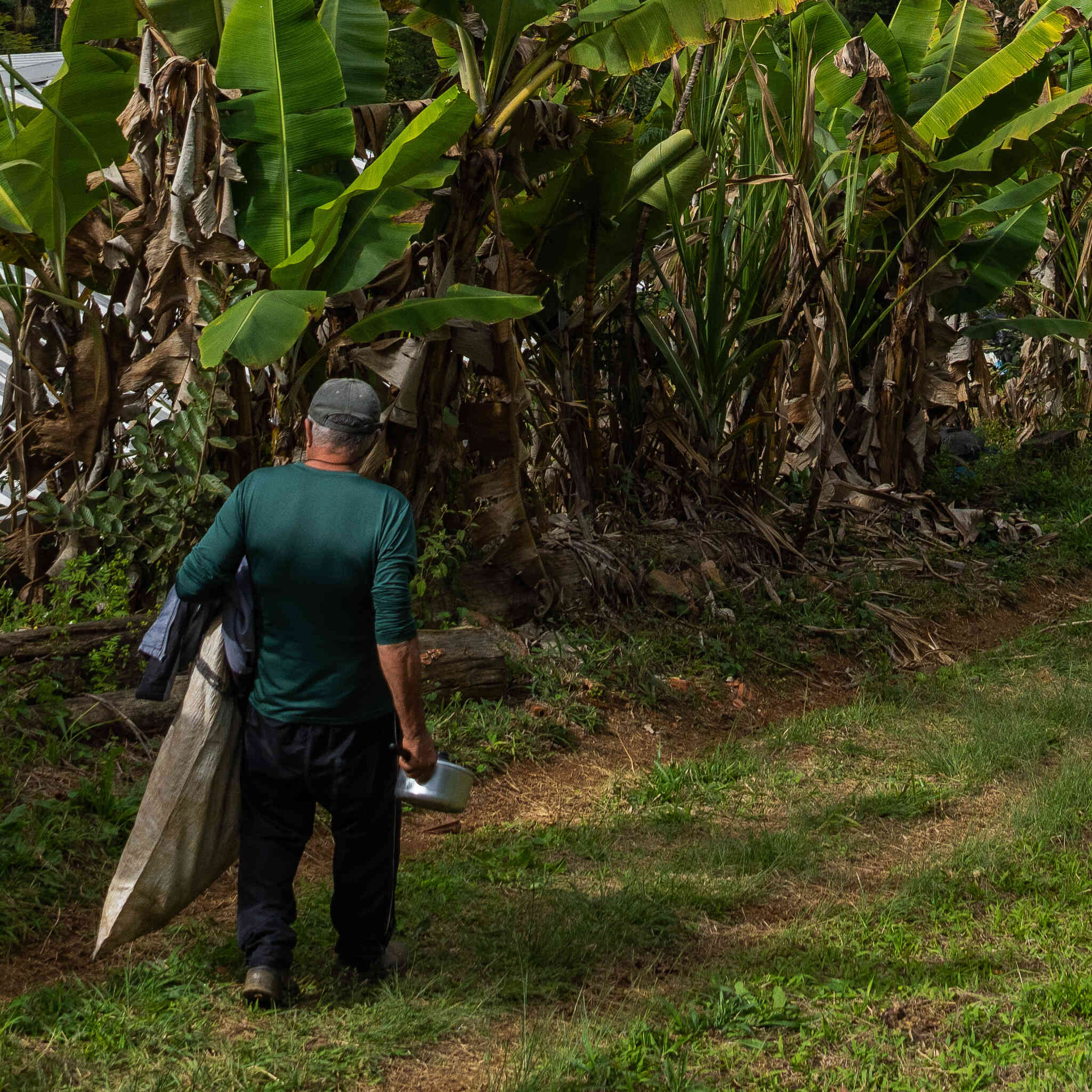 Café Santo Curupira
