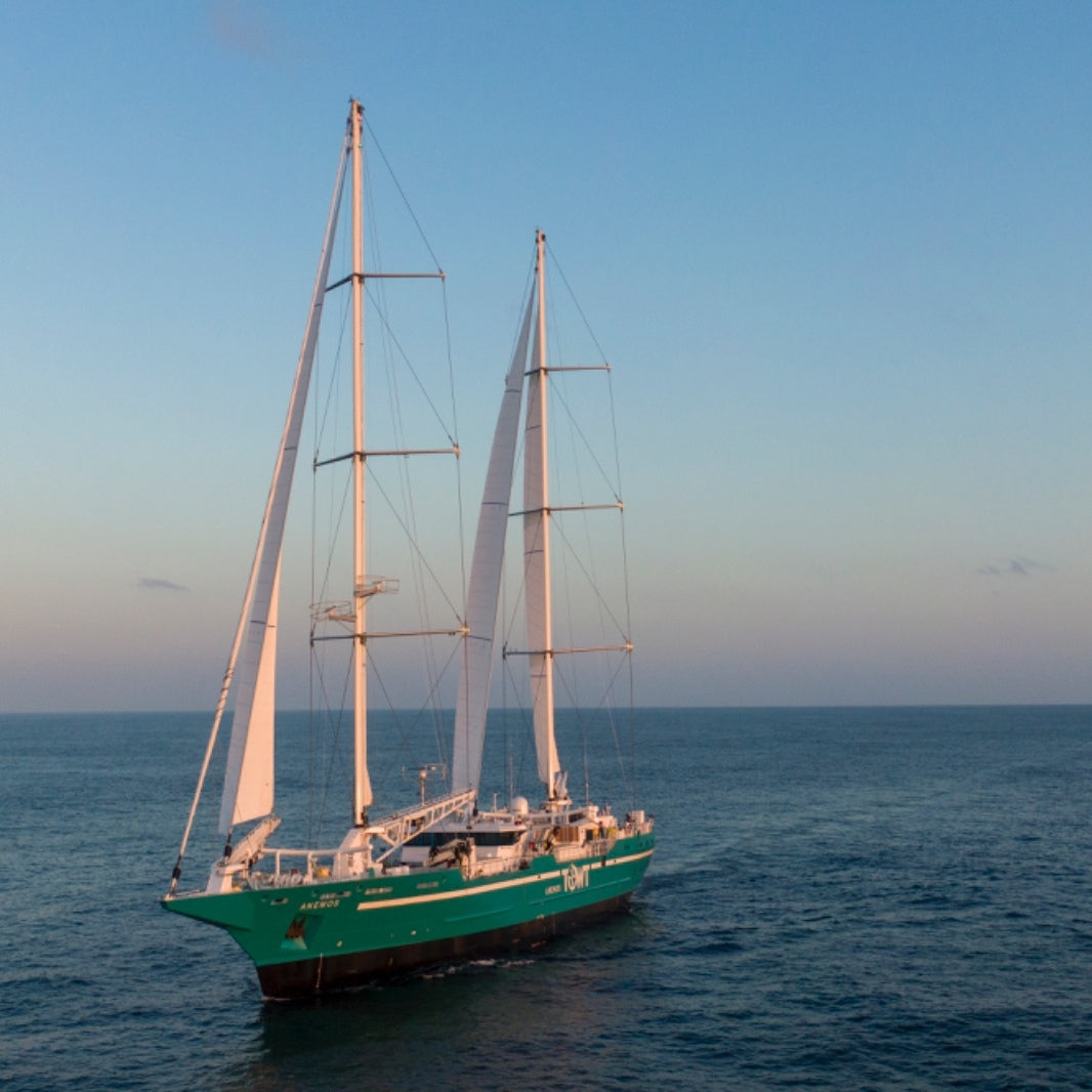 Café Santo Curupira