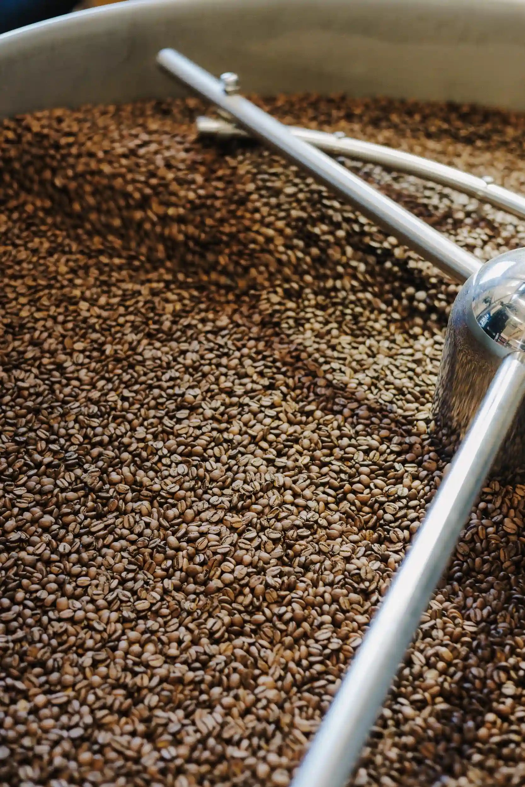 Grains de café sortant du torréfacteur