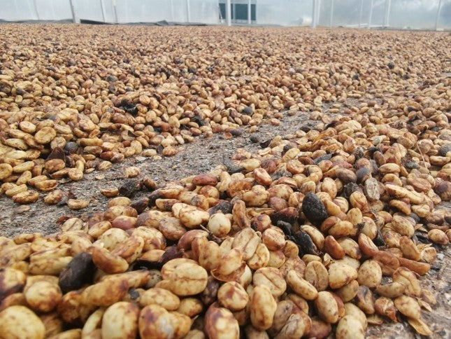 Café Corazón de Fuego