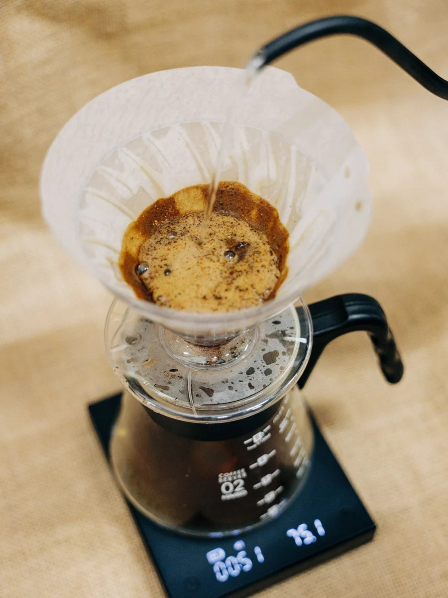 Filtre V60