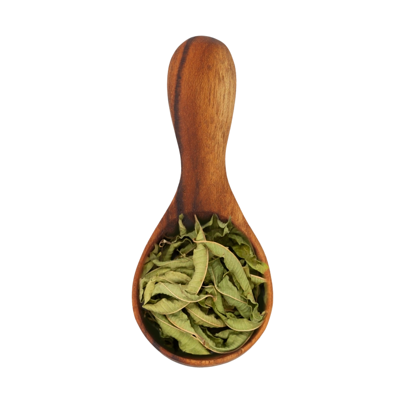 Verveine bio