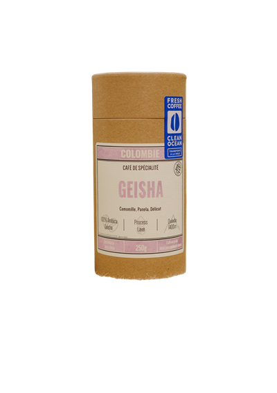 Geisha - Photo 1